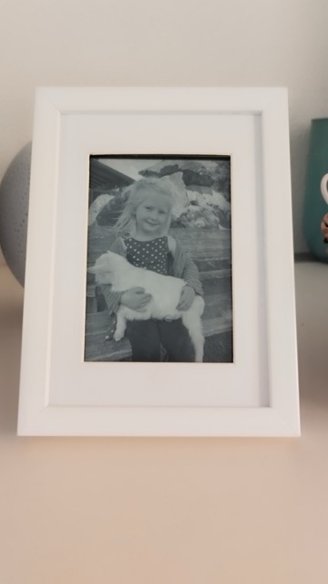 Foto vom Kindle